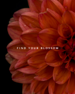 Eternal Growth ‘Find Your Blossom’ Aesthetic Photo Frame