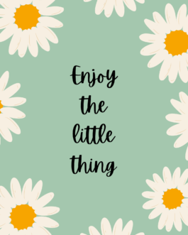 Elegance in Simplicity ‘Enjoy the Little Things’ Wall Frame